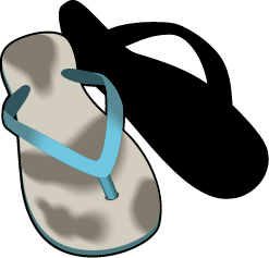 Flip-Flops