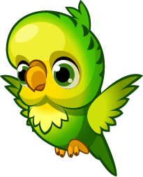 Budgie