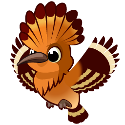 Hoopoe