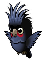 Palm Cockatoo