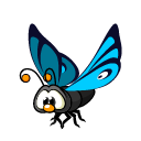 Blue Butterfly