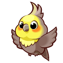 Dark Cockatiel