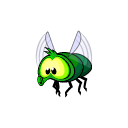 Green Fly