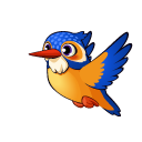 Kingfisher