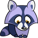 Experienced Racoon