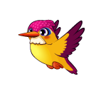 Ruddy Kingfisher