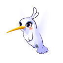 White Hummingbird