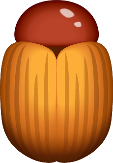 Beetle Shell
