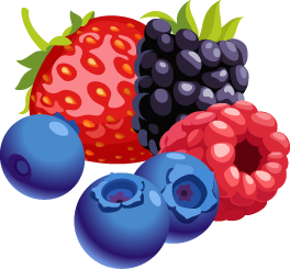 Berries