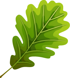 Oak Leaf