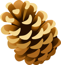 Pinecone