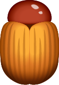 Beetle Shell