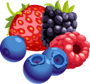 Berries