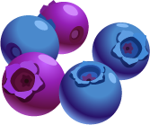 Blueberries