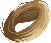 Flax Fiber