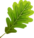 Oak Leaf