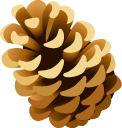 Pinecone