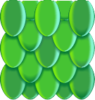Snake Scale