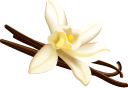 Vanilla Pod