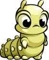 Silk Worm 1