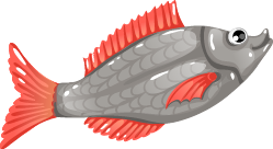 Red Rudd 