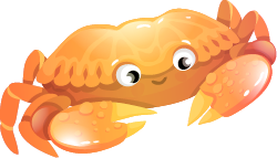 Sunny crab