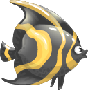 Yellow Angelfish