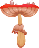 Fly Agaric Mushroom
