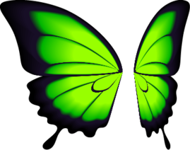 Green Butterfly Wings